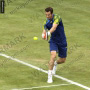 Andy Murray - Queens Champion 2013